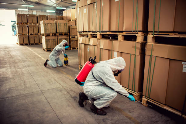 Best Local Pest Control Services  in Shelbyville, TN