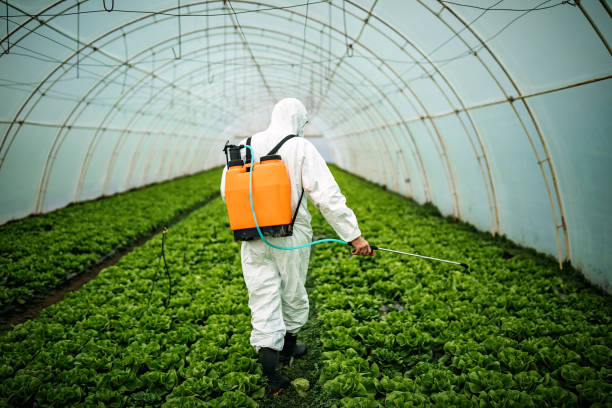 Best Pest Inspection Near Me  in Shelbyville, TN