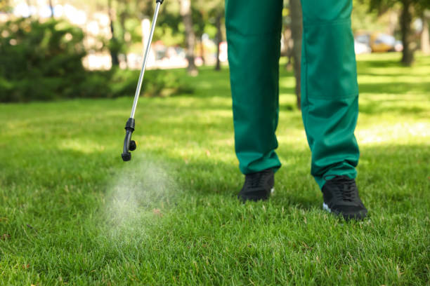 Best Emergency Pest Control  in Shelbyville, TN