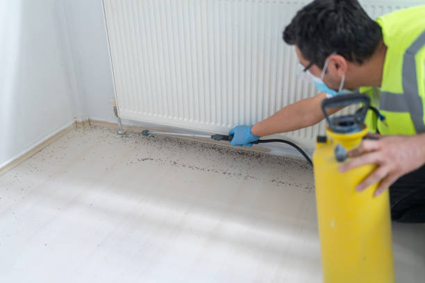 Professional Pest Control in Shelbyville, TN